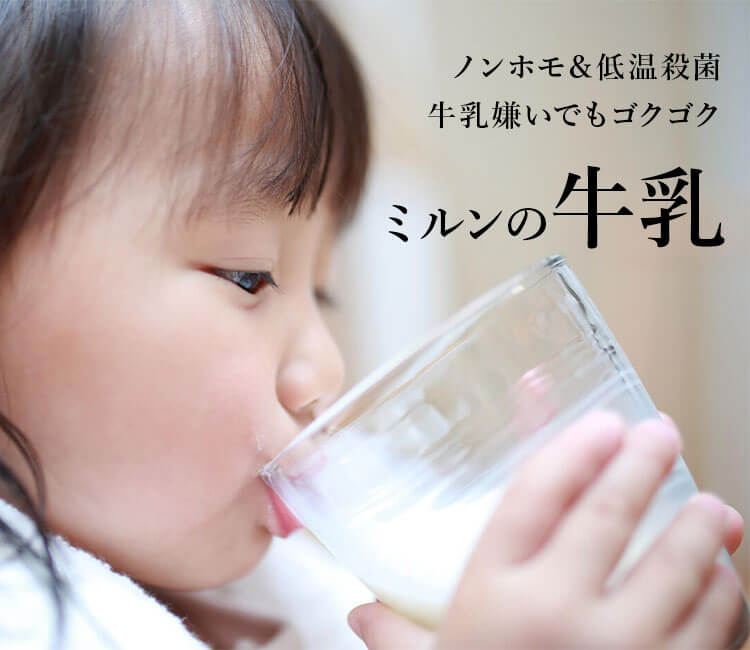 ミルン牧場の生乳100％で作ったノンホモ牛乳。低温殺菌で作ったから牛乳嫌いでも飲める