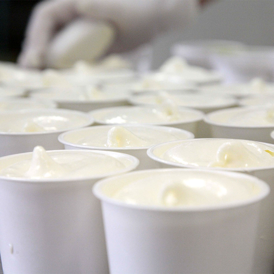 ミルン牧場の搾りたての牛乳で作ったアイスクリーム ミルク味