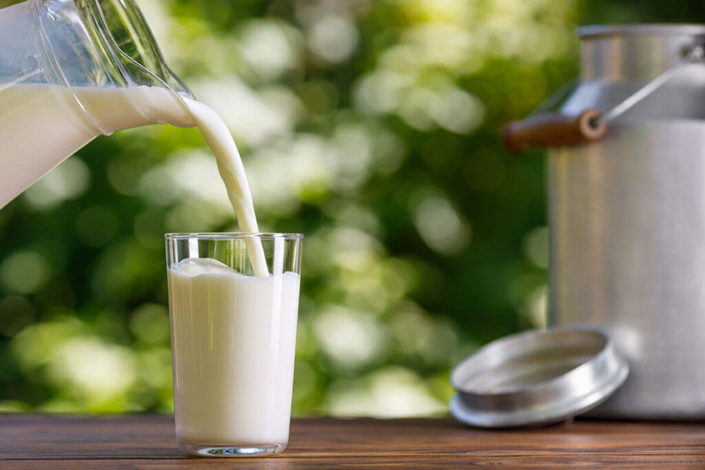 ミルン牧場の牛乳は、低温殺菌で生乳に限りなく違い味を目指しています。