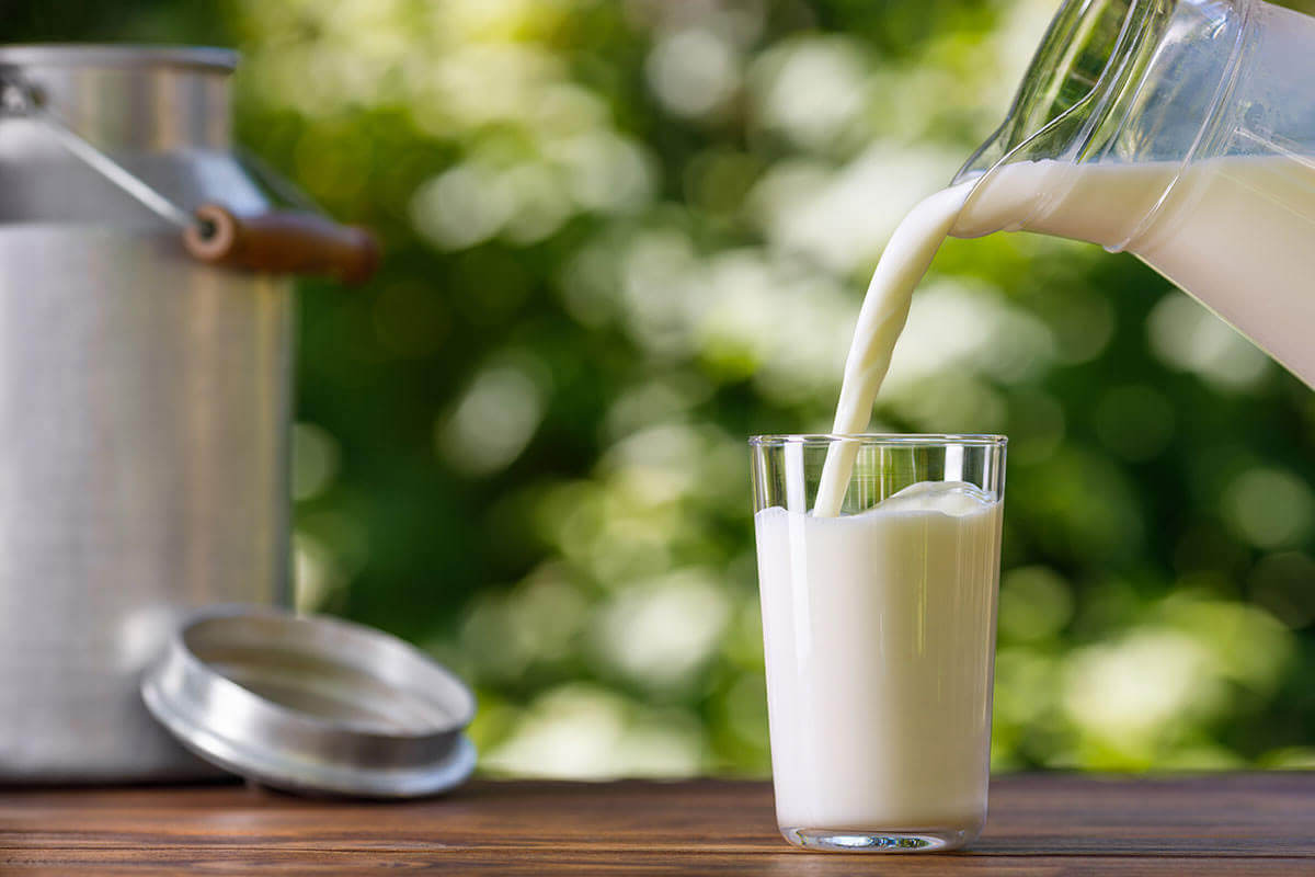 ミルン牧場の牛乳は、ミルン牧場で育たられた牛の生乳のみを使用して作られています。